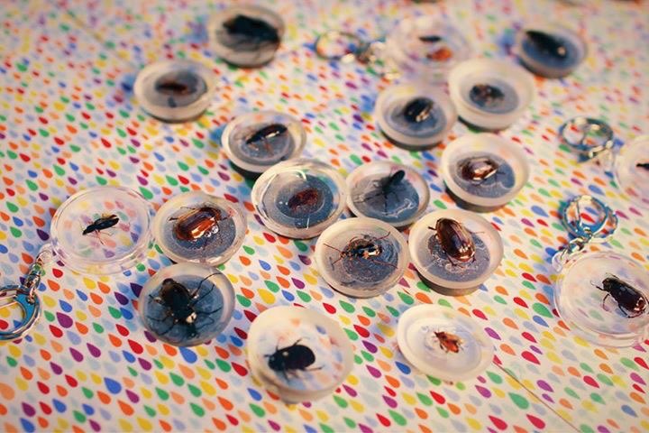 2016 식물자원환경전공 전시회