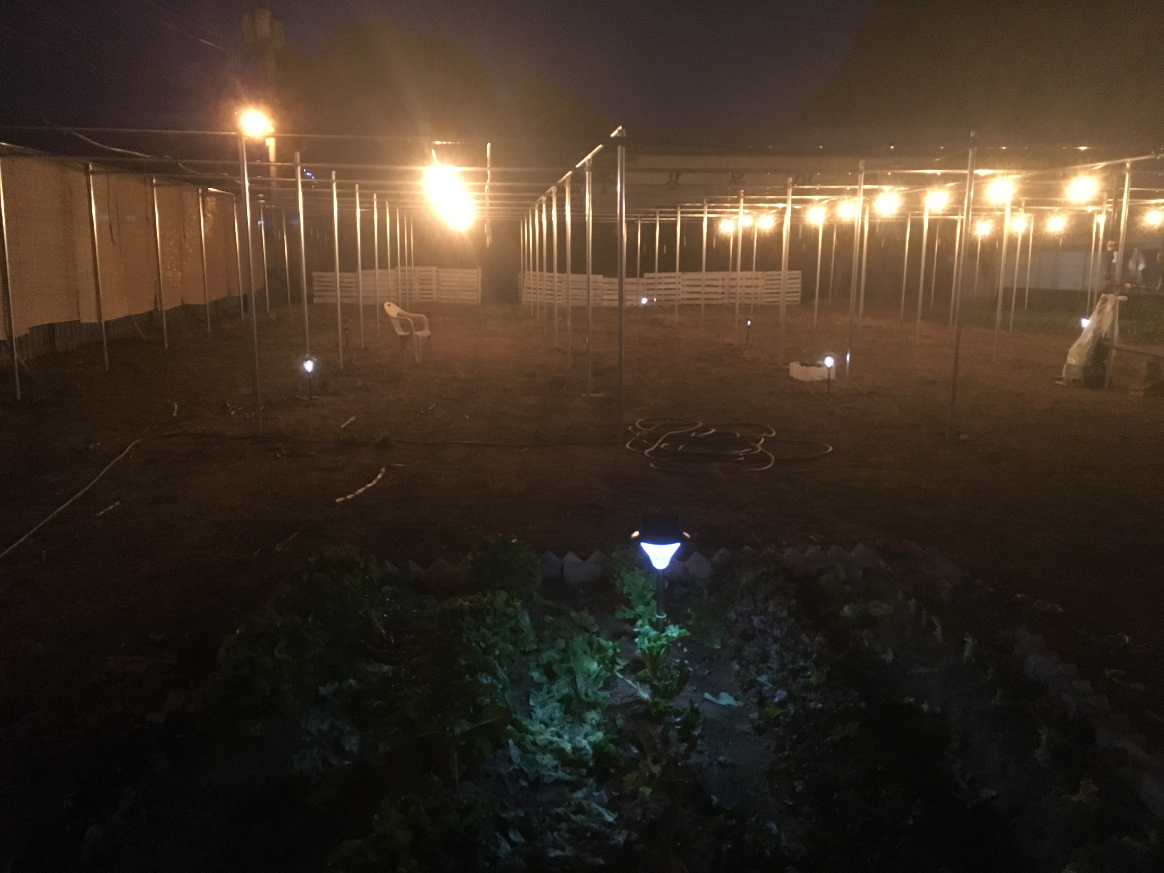 2018 농대 미래전문농업경영인양성사업단 국내선진지 견학 (1)