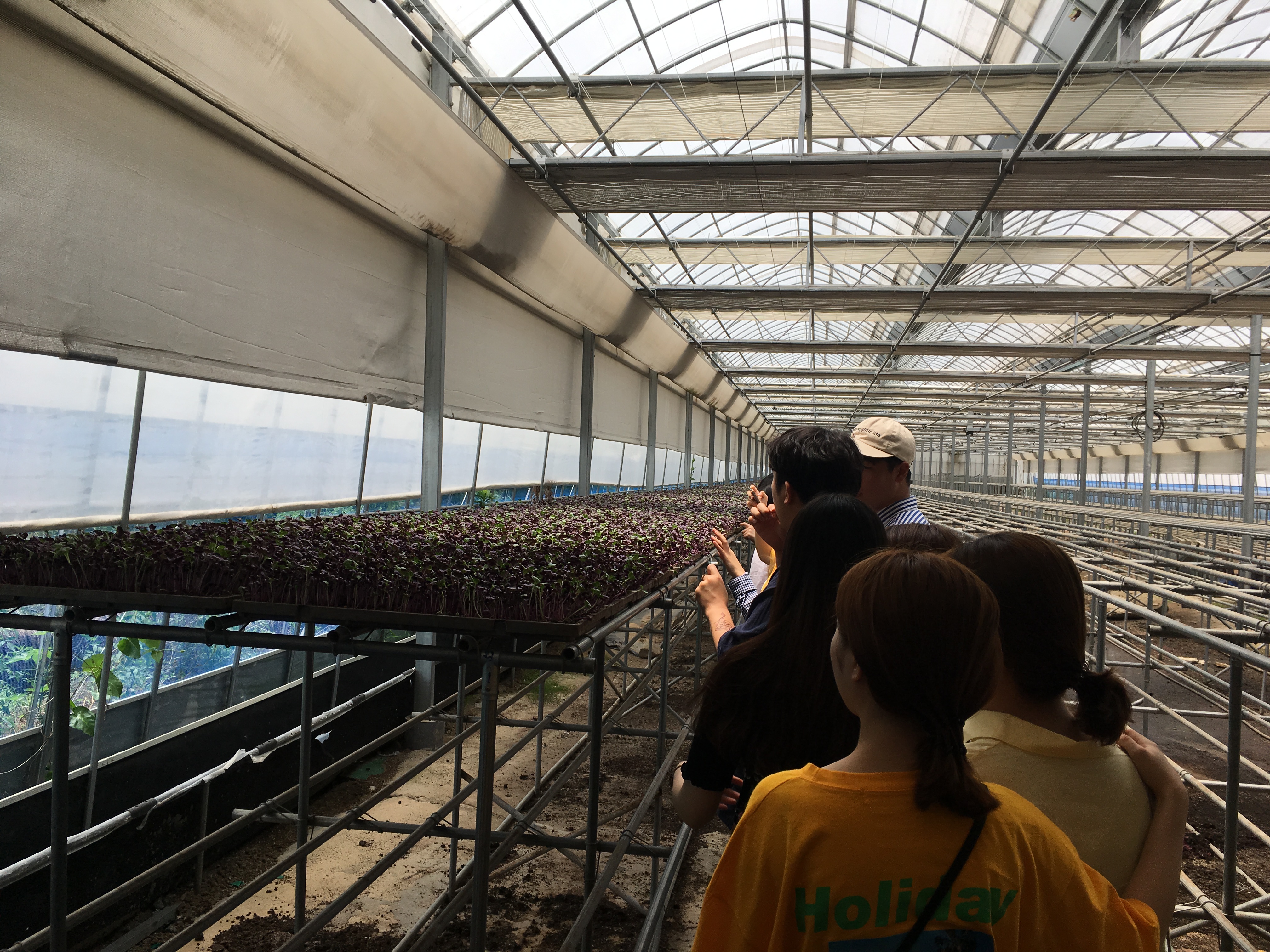 2018 농대 미래전문농업경영인양성사업단 국내선진지 견학 (2)